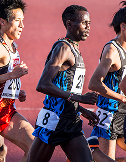 東日本実業団陸上競技選手権大会