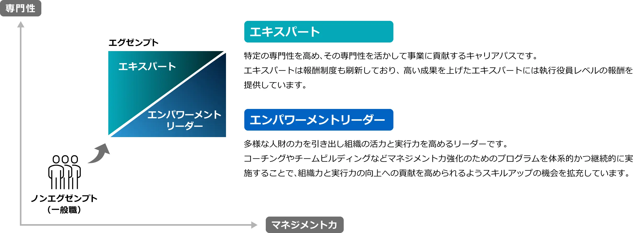 エキスパート:特定の専門性を高め、その専門性を活かして事業に貢献するキャリアパスです。エキスパートは報酬制度も刷新しており、 高い成果を上げたエキスパートには執行役員レベルの報酬を提供しています。エンパワーメントリーダー:多様な人財の力を引き出し組織の活力と実行力を高めるリーダーです。コーチングやチームビルディングなどマネジメント力強化のためのプログラムを体系的かつ継続的に実施することで、組織力と実行力の向上への貢献を高められるようスキルアップの機会を拡充しています。