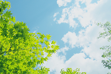 Konica Minolta’s Environmental Digital Platform Increases Its Membership to 68 Companies