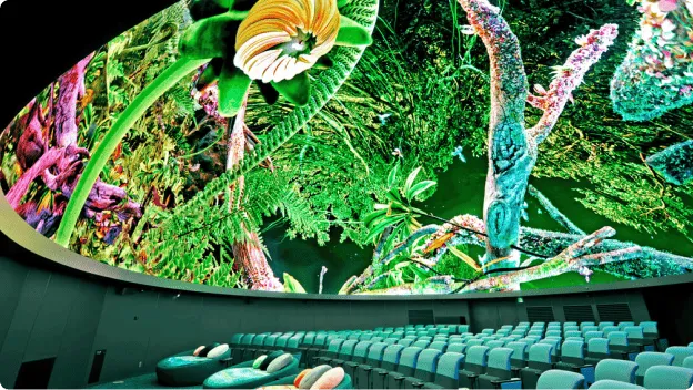 A hemispherical screen projects vivid images of plants onto a dome theater.