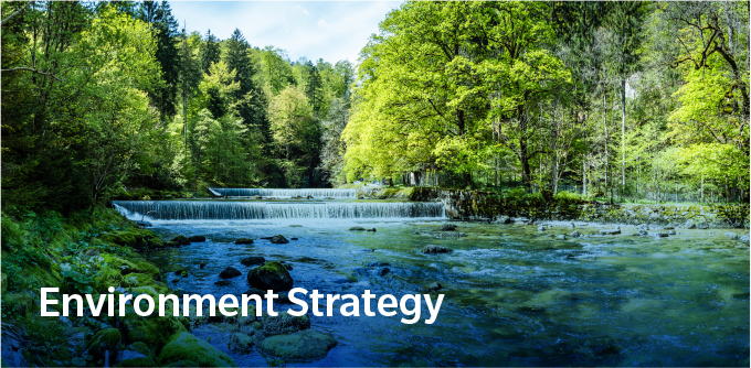 Environment Strategy