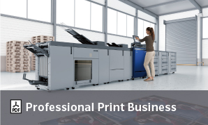 Professional Print Business