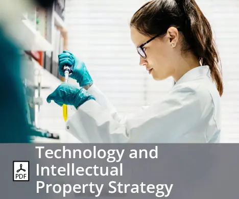 Technology and Intellectual Property Strategy